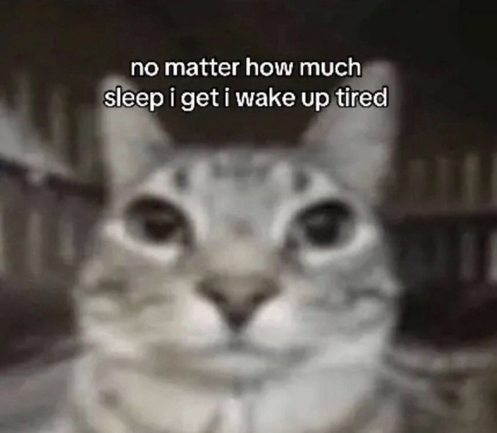 literallymecats's tweet photo. https://t.co/XC8Ve8D0lC