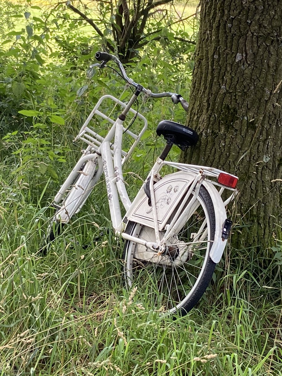 Deze fiets staat al zeker twee weken tegen de boom #winkelpad #schothorst <a href="/Gem_Amersfoort/">Gemeente Amersfoort</a> <a href="/POL_Amersfoort/">Politie Basisteam Amersfoort</a>