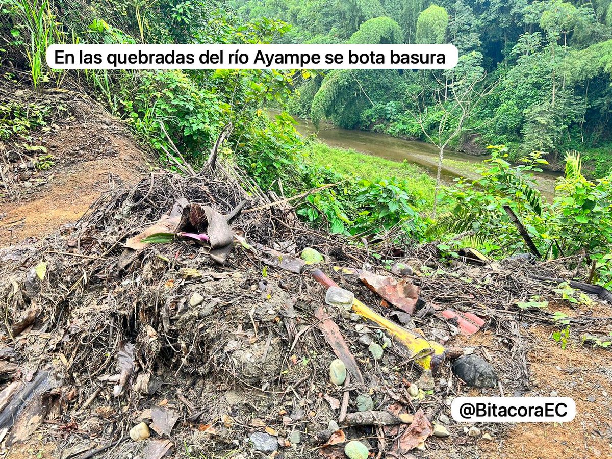 BitacoraAmbiental tweet media