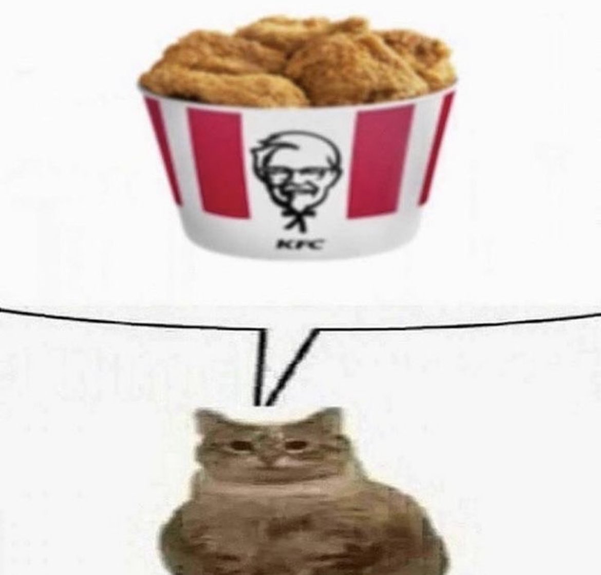 Punch Cat tweet media
