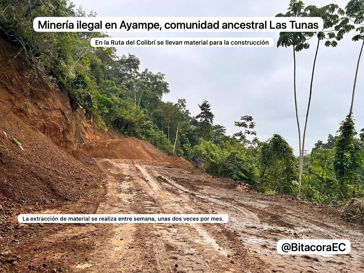 BitacoraAmbiental tweet media