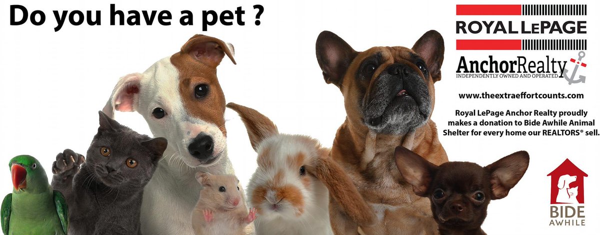 team_pardy's tweet photo. At our brokerage, Royal LePage Anchor Realty, we love our pets. 🐾

Did you know our company makes a donation to Bide Awhile Animal Shelter for every home our REALTORS® sell?

Do you have a pet? 🐶🐱🐰🐦

If you do, please share a photo in the comments! 📸

#RealEstate #Pets https://t.co/SeVdE45E7X