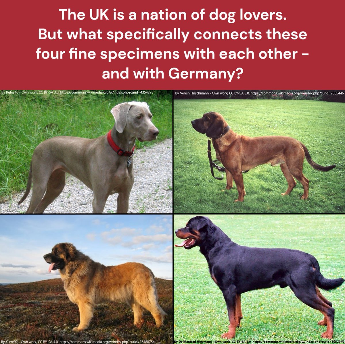 #GermanLinksQuiz: our series explores British-German links by asking what connects familiar aspects of UK life 🇬🇧 with Germany 🇩🇪 Questions on a Wednesday, answers on a Thursday. Feel free to post your answers below 👇 Enjoy and be kind in your comments!
