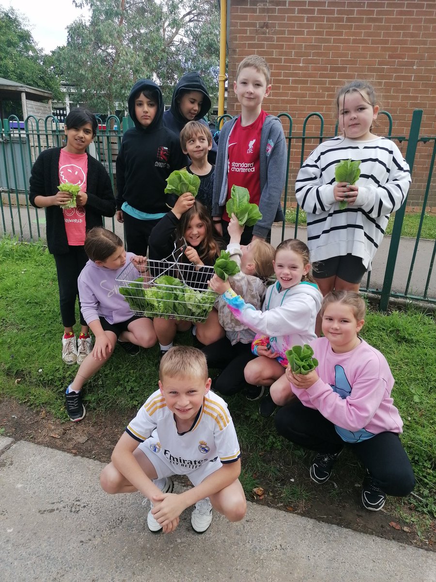 Llanishen Fach tweet media