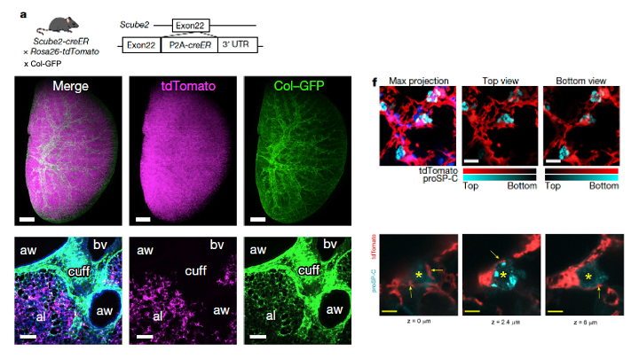 Tatsuya Tsukui tweet media