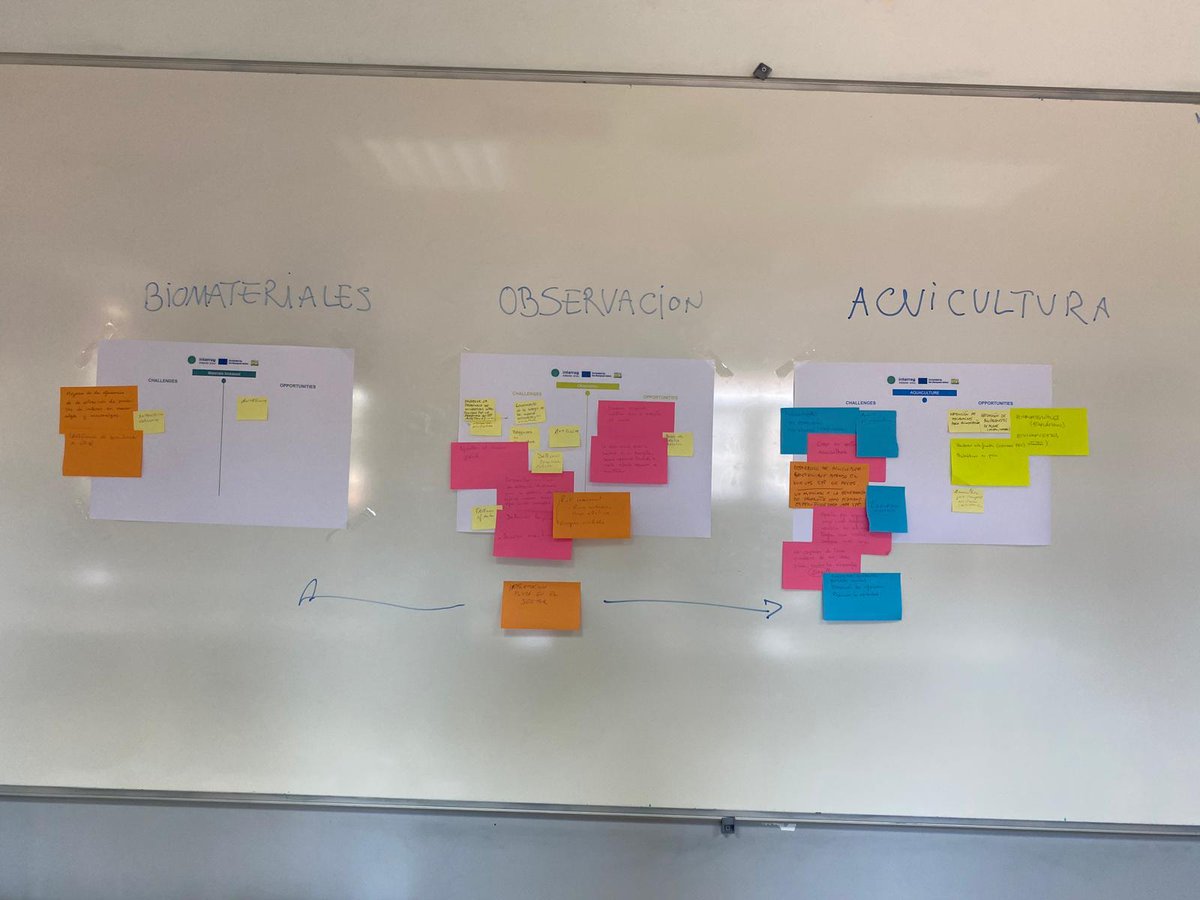 IbonCancio's tweet photo. @marinnonet workshop on "R&amp;D&amp;I in Marine Bioeconomy" @pie_upvehu has been a wonderful meeting point for 4ple helix stakeholders in the sector....and provider of ideas for the future https://t.co/NEy1M94uv4