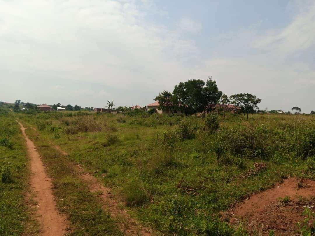_antonio256's tweet photo. PLOTS ON SALE
In Entebbe _Kasanje,with ready land titles. With access to water and electricity
50*100ft.......................18m

Call/WhatsApp 
0706147006/0783821918

Find us in Wandegeya, behind Equity Bank, at Namuswa Plaza, Level 4, Room 407 https://t.co/te6ZQqKy7P