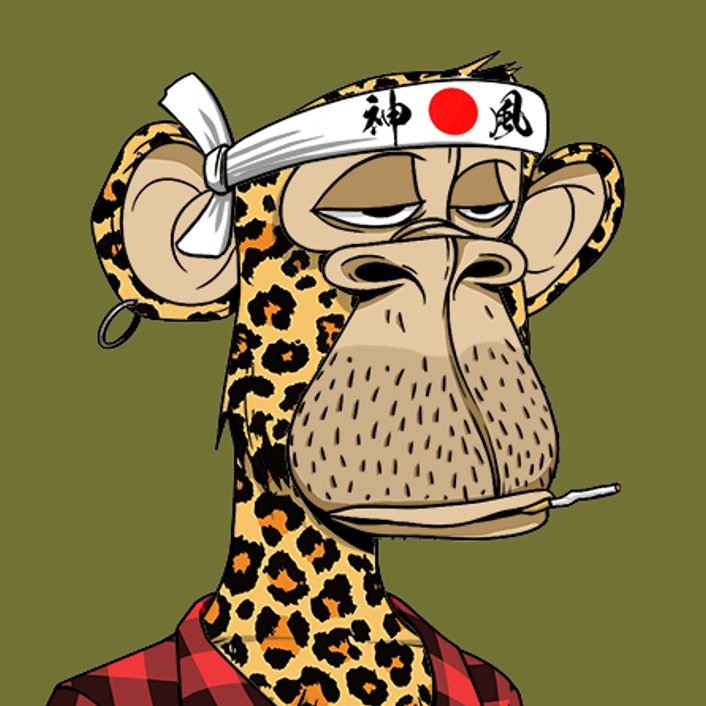 Slytoshi Hakamoto 🍌 tweet media