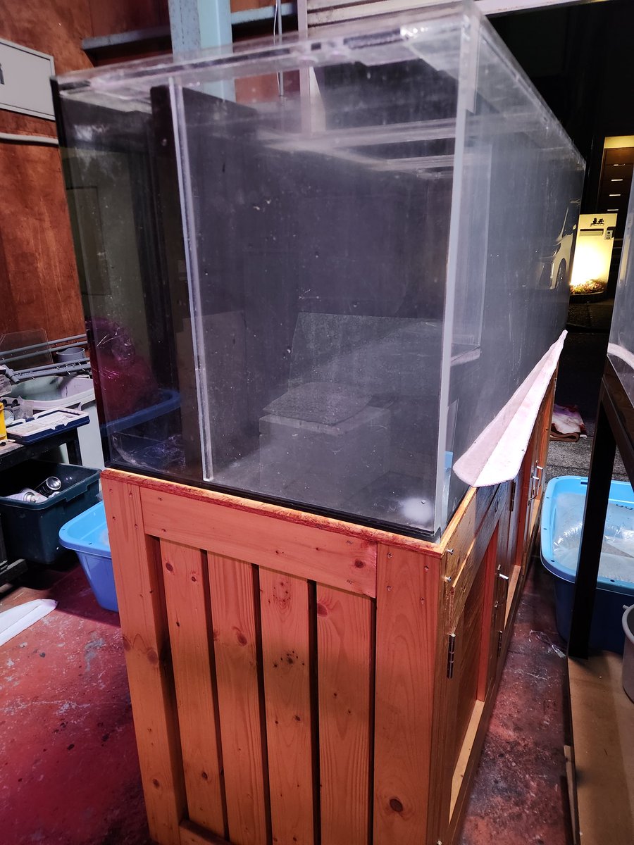 nishiken_aquas's tweet photo. 本日も沢山のご来店誠にありがとうございました🙏☺️
今日は1800×600×600水槽の引き上げを店長お疲れ様でした😁
今週に犬山市のK様に120水槽納品させていただきます🙇‍♂️尽きることの無い依頼‼️長年の実績の賜物です👌
遠方からでもぜひお問い合わせください✨明日も皆様のご来店お待ちしております👍 https://t.co/QmVvVix3Lt