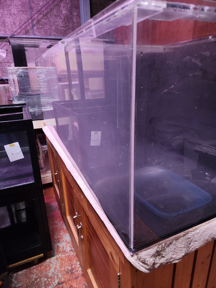 nishiken_aquas's tweet photo. 本日も沢山のご来店誠にありがとうございました🙏☺️
今日は1800×600×600水槽の引き上げを店長お疲れ様でした😁
今週に犬山市のK様に120水槽納品させていただきます🙇‍♂️尽きることの無い依頼‼️長年の実績の賜物です👌
遠方からでもぜひお問い合わせください✨明日も皆様のご来店お待ちしております👍 https://t.co/QmVvVix3Lt