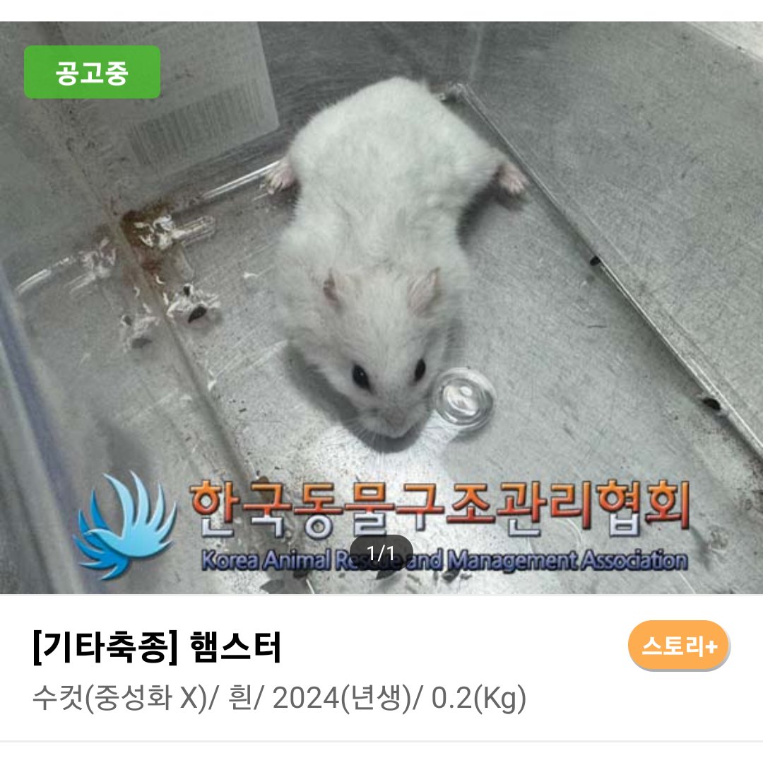 컷오프 프로젝트 tweet media