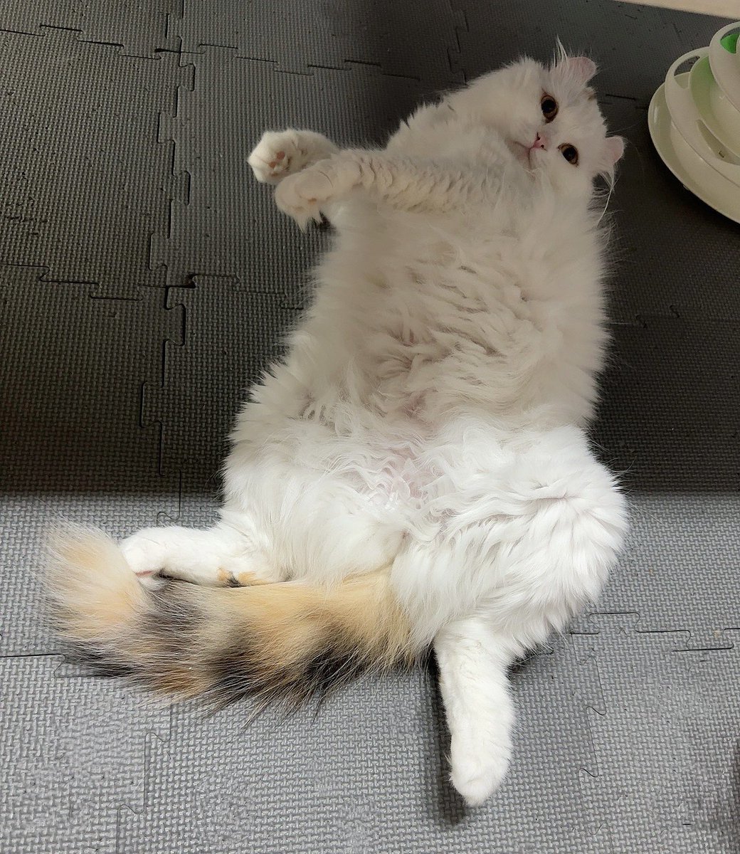 ひよりんご🍎💭 (@hiyoringo0818) / Posts / X