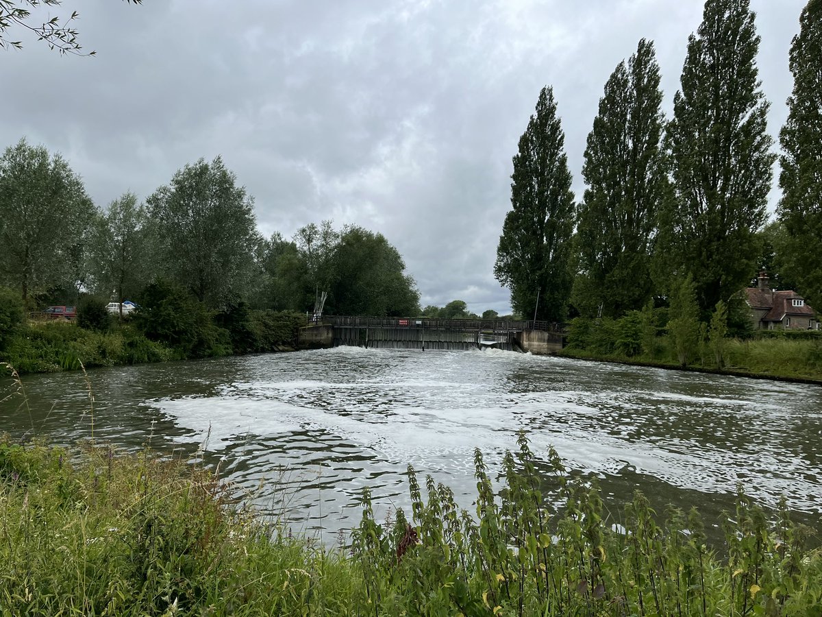 Excited to be scoping out a local field site on the River #Thames <a href="/RivEscape/">RIV-ESCAPE Project</a> for some more river greenhouse work