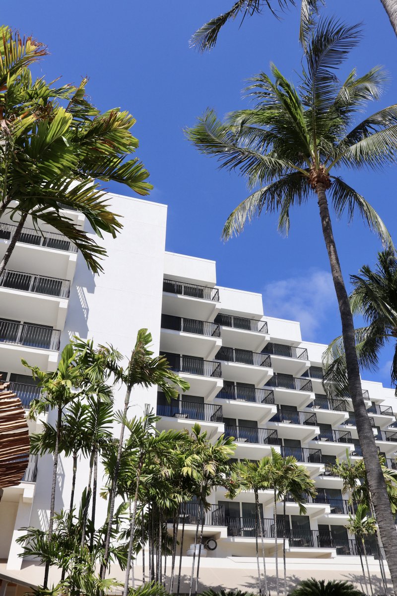 aruba's tweet photo. 📍@Arubamarriott! Get ready for an unforgettable, all-inclusive experience. Whatever you need, you can find it here and find it in style. Steps from sand, sun, AND fun! ☀️

#Travel #TravelTip #Aruba #Caribbean #Hotel https://t.co/V2v0LyiobU