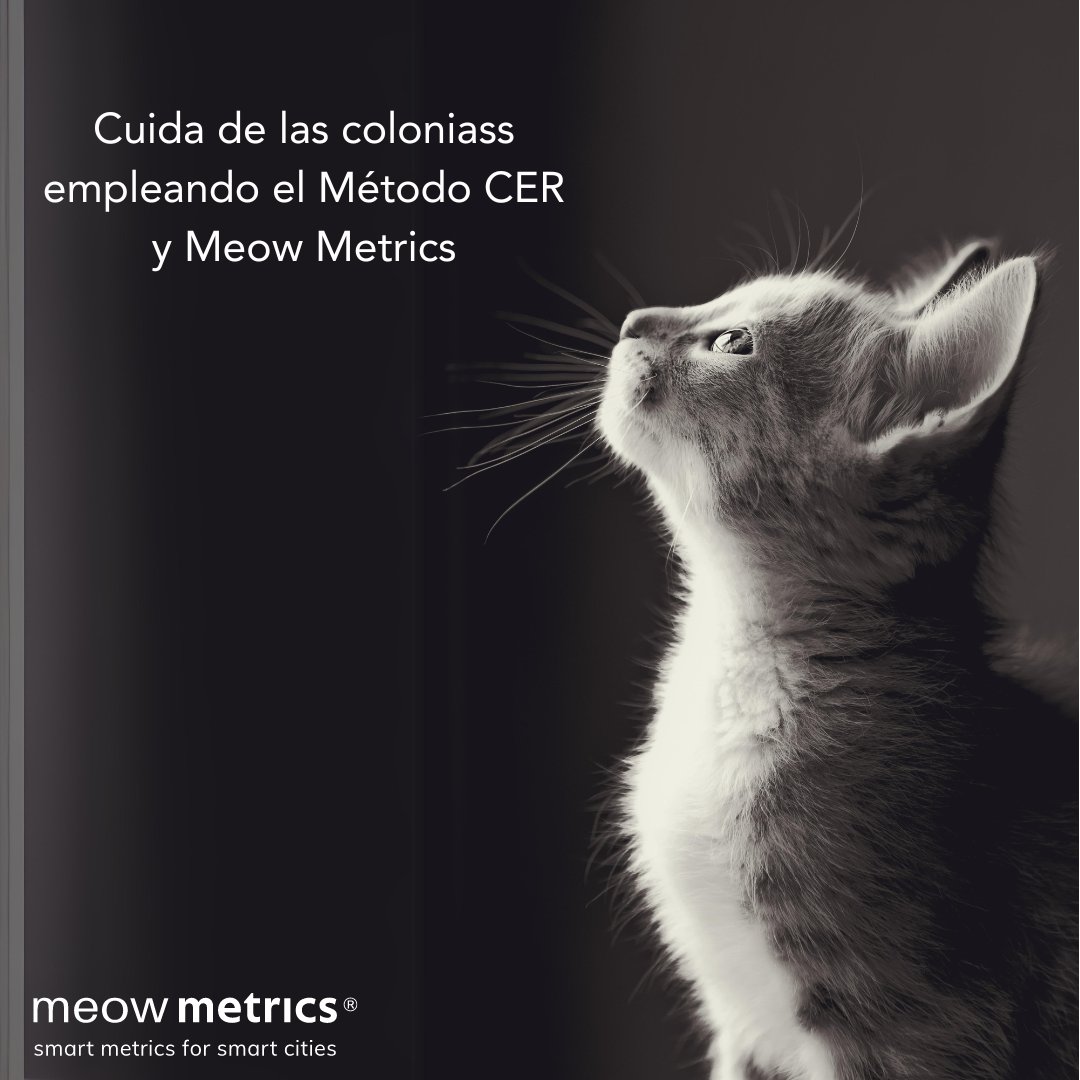 zoometrics's tweet photo. Meow Metrics, #software profesional e intuitivo para #Ayuntamientos y #voluntarios en la gestión ética de colonias de #gatoscomunitarios.

#CER #proyectoCER #gatos #bienestaranimal #govtech #OneHealth #innovacion #smartcities

Un producto de #zoometrics https://t.co/0xdmb75vAP