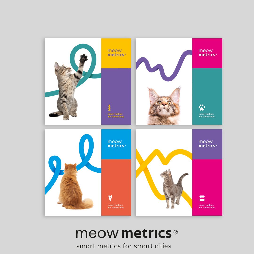zoometrics's tweet photo. Meow Metrics, #software profesional e intuitivo para #Ayuntamientos y #voluntarios en la gestión ética de colonias de #gatoscomunitarios.

#CER #proyectoCER #gatos #bienestaranimal #govtech #OneHealth #innovacion #smartcities

Un producto de #zoometrics https://t.co/GSnUwFK1R3