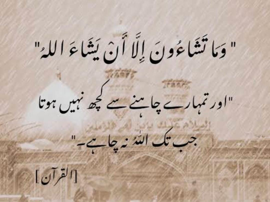 Muhammad Danish tweet media