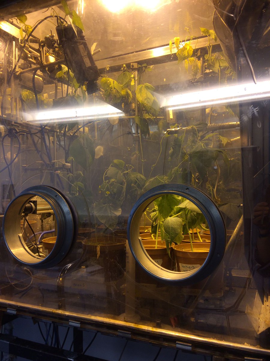 Paris Soil organic matter research Group tweet media