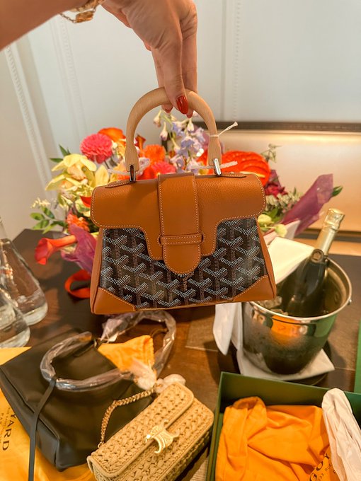He said &ldquo;I heard you like purses&rdquo; 🥹   Thank you for my first Goyards! And cutest Celine. I love them