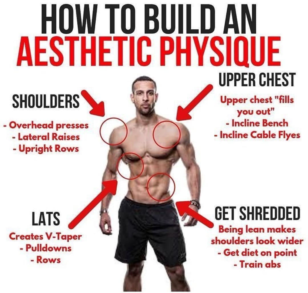 Bodybuildingan6's tweet image. How To Build an Aesthetic Physique

#aestheticphysique #aestheticphysiques #aesthetic