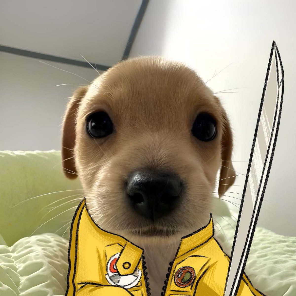 _BillyBSC's tweet photo. 🐶⚔️ "Jeets, take cover! $Billy's on the move and nothing's stopping us from reaching Billyons! 🚀 Let's keep the vibes high and the community strong! 
@binance @BNBCHAIN #billybsc #Memebattle  #BNBChain https://t.co/YGWxXWSNBt