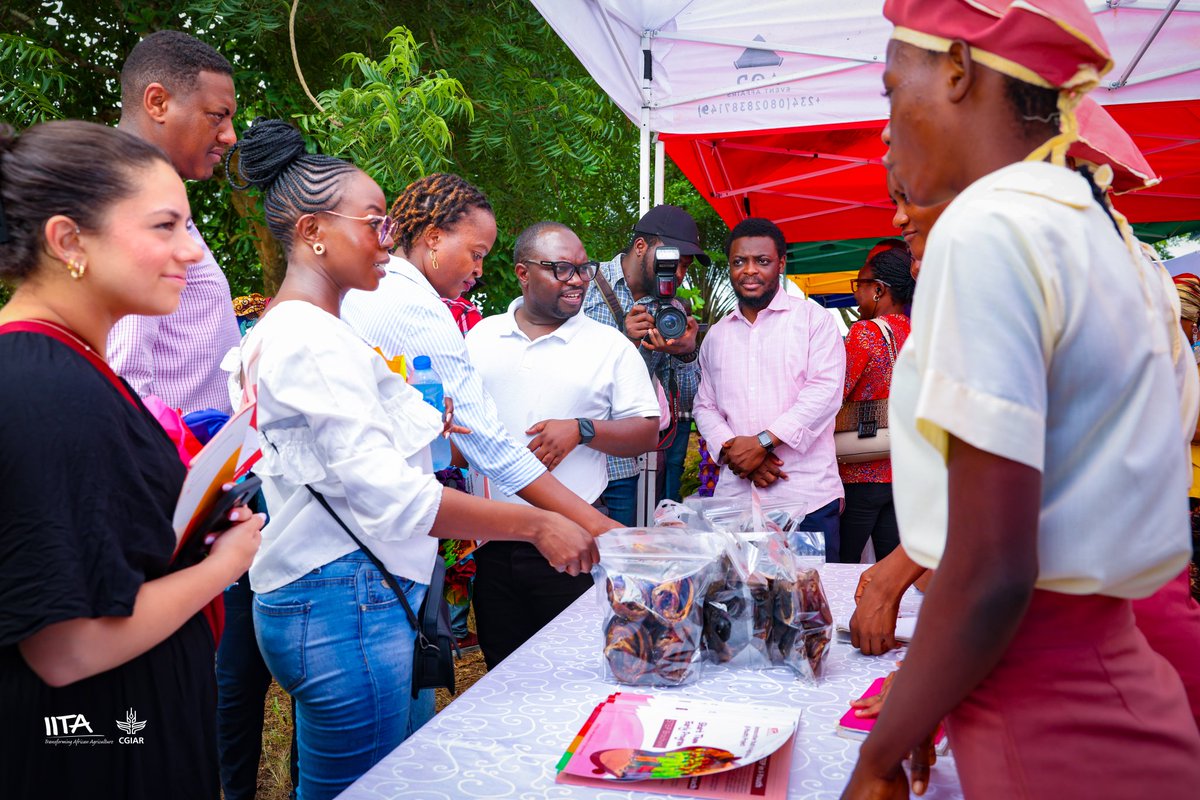 IITAYOUTHAGRIP's tweet photo. During a recent visit to the I-Youth #Agribusiness Park in Epe, #Lagos State, a team from @MastercardFdn interacted with participants who shared inspiring #success stories. 

The team praised #IYouth's #interventions, especially #STEP, and its #support for #youngfemale farmers. https://t.co/XxNlnHzvuu