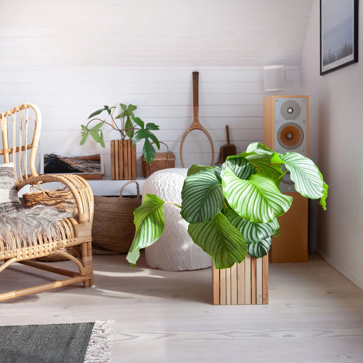 UPinteriors's tweet photo. GrowON Self-Watering Planter by Squarely Copenhagen. https://t.co/pBhkxmQN1p

#wood #planters #design https://t.co/oAHALK78Ub
