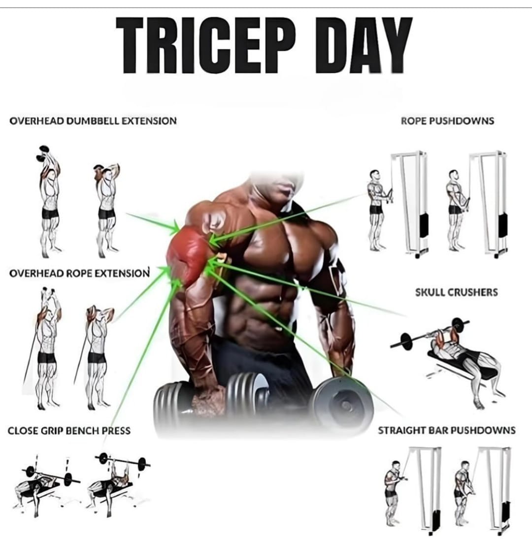 jennaal82642481's tweet photo. Triceps Workout

#triceps #tricepsday #tricepsworkout #tricepsextensions #armworkout #armworkouts https://t.co/7M65vhrQc9