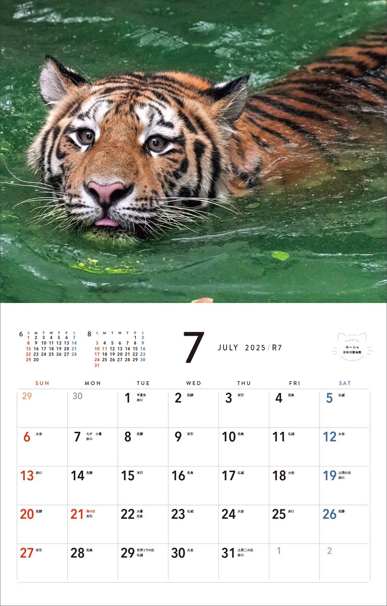 rikunow's tweet photo. 【お知らせ】『ほぼねこ』が2025年カレンダーになりました！Amazonで予約スタートしています✨

▼ご予約はこちら
https://t.co/JuQKfg1sxI

大判サイズの壁掛け月めくりカレンダーで、写真集に未収録の写真も多数収められています。

9/2発売で、全国の書店でも販売予定🐯ぜひ2025年を可愛いほぼねこたちとお過ごしください。
#ほぼねこ #カレンダー
