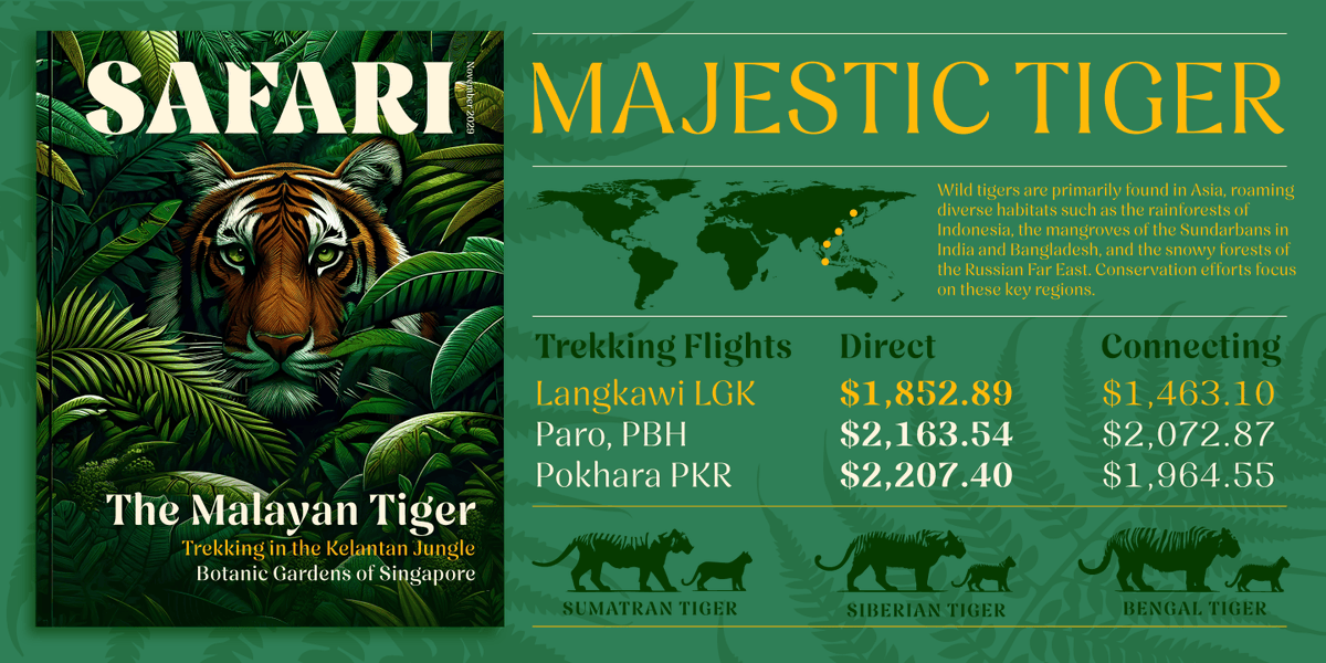 weandthecolor's tweet image. Discover the Nave Font Family by Jamie Clarke Type: weandthecolor.com/nave-font-fami… #fonts