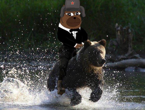 medved_ton's tweet photo. They want me dead…$BOBO NEVER DIES

$BOBO on $TON will be the ultimate redemption story

приходи к королю, лучше не пропускать

Ca: EQAa82rJAdAjpR5N7EunqpKSzdDkcCUCRbA37XQkvEq_ek6T https://t.co/3ucJBgVYf5