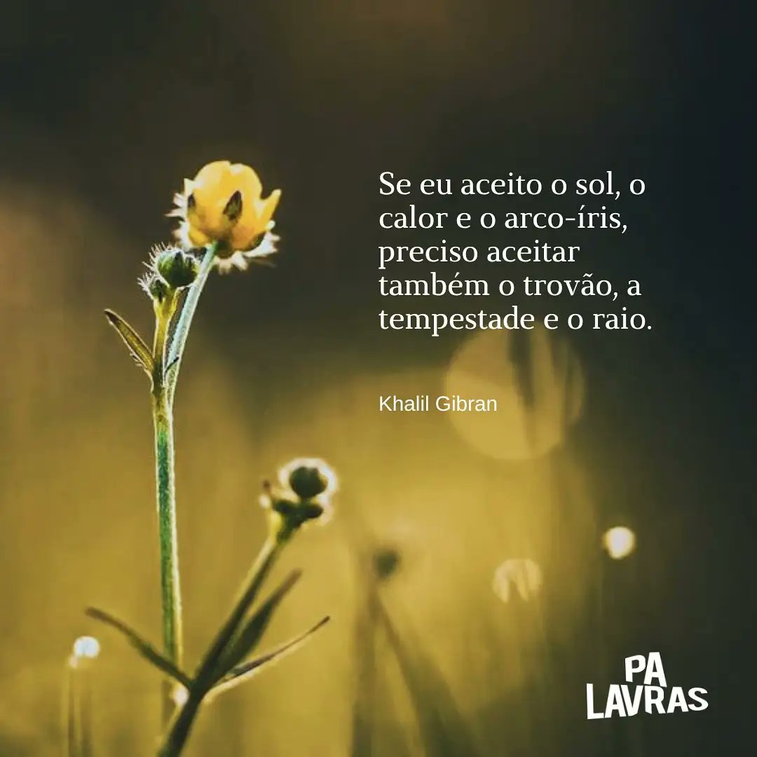 EdnaVilela's tweet photo. Bom dia! https://t.co/45EnbWgepj