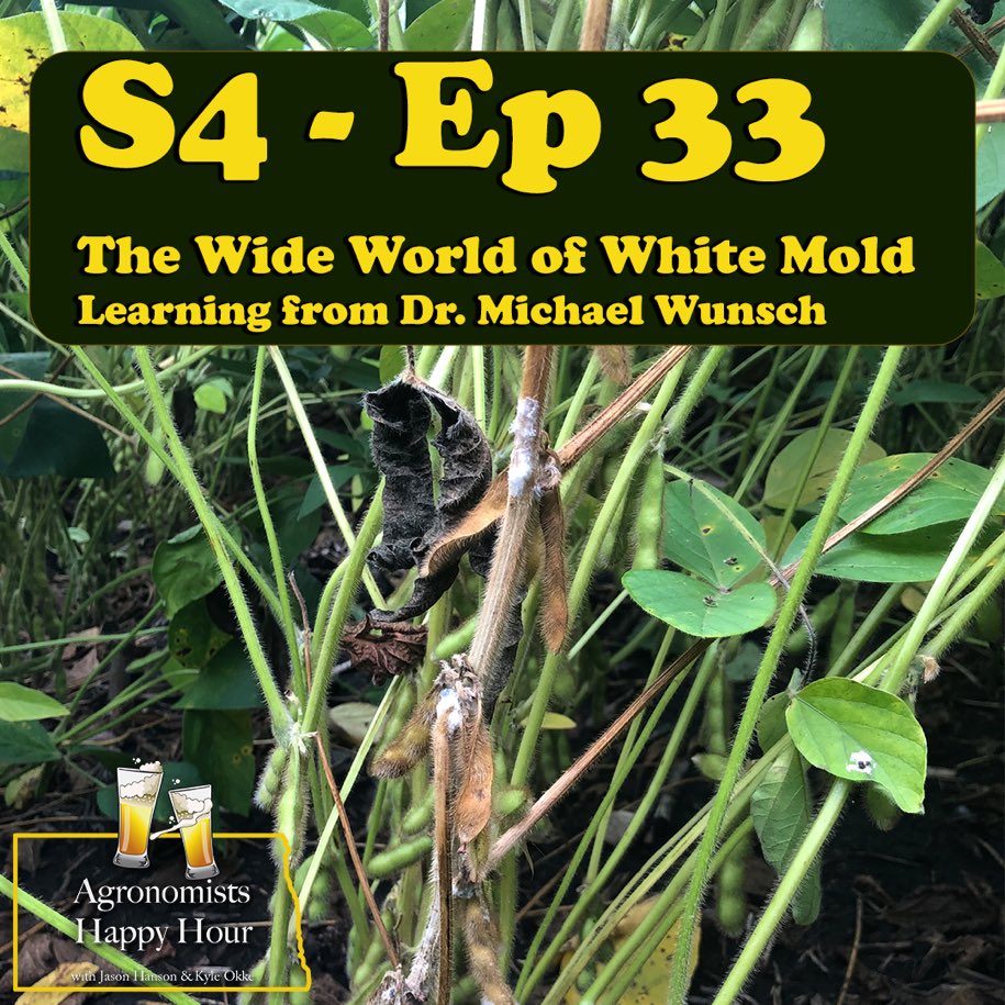 If you grow soybeans or dry beans- here is some Spectacular info about managing white mold. Dr. Michael Wunsch is a resource you should use. 

ndsu.edu/agriculture/ag…

<a href="/SaskPulse/">Saskatchewan Pulse Growers</a> <a href="/okkefromuskogee/">Kyle Okke</a> <a href="/NDAgExpStation/">NDSU AgExpStation</a> <a href="/NDSUPlantPath/">NDSUPlantPathology</a>