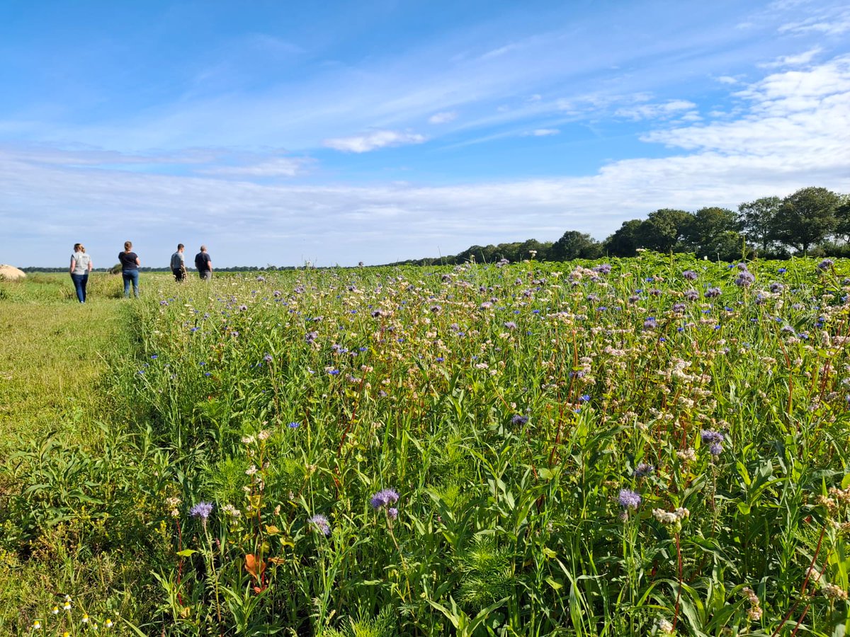 We zijn weer gestart met ons #rondjeklei en #rondjezand met onze #ANLb_adviesgroep voor de schouw. Er zijn weer hele mooie #wintervoedselvelden,  #kruidenrijke akkers, #vogelgraan percelen en #FABranden aangelegd door onze deelnemers #open_akkerland #categorie_water