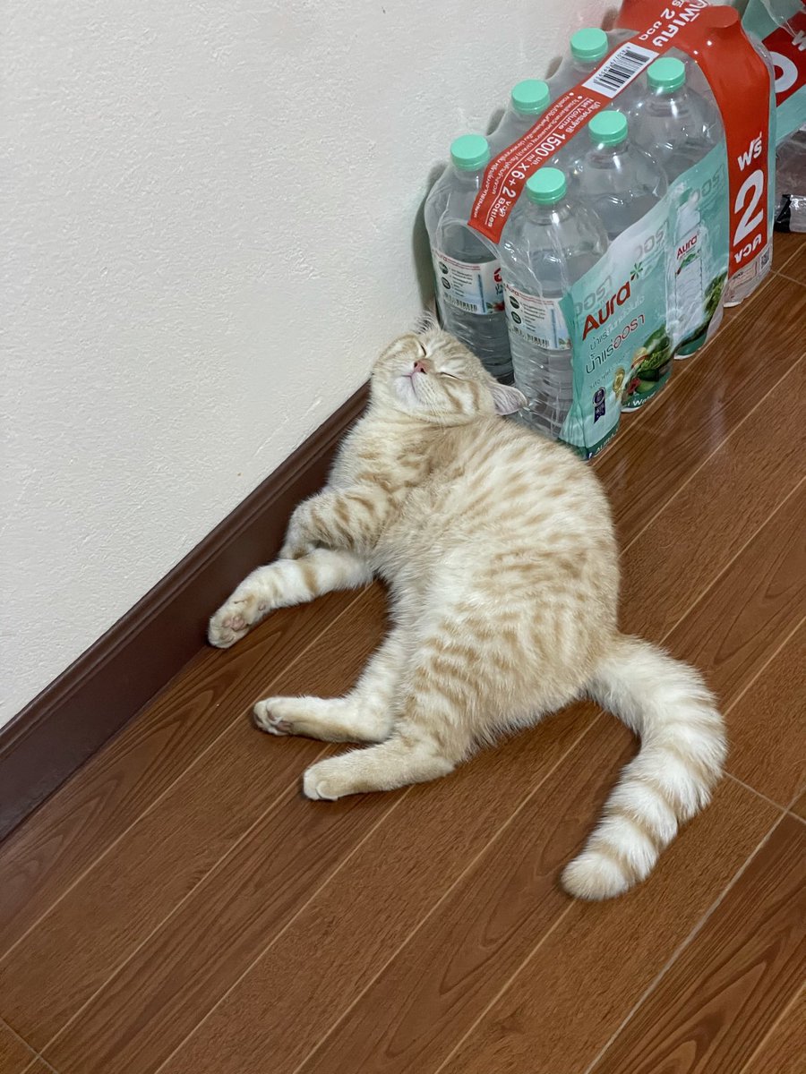 บีมกับน้องๆ tweet media