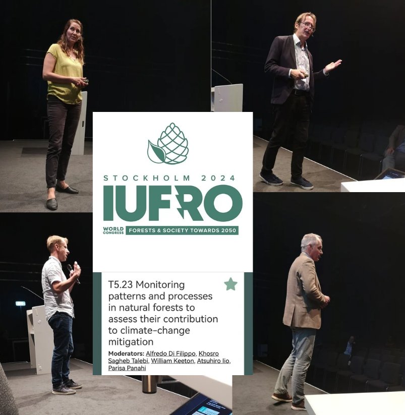 4000+ participants at the #IUFRO2024 World Forest Congress !

- Presented my research on UNESCO old-growth beech forests

- Coordinated a session on natural forest monitoring, organized by #IUFRO groups Beech Forests (coord. by me)  + Old-Growth Forests (coord. by Bill Keeton)