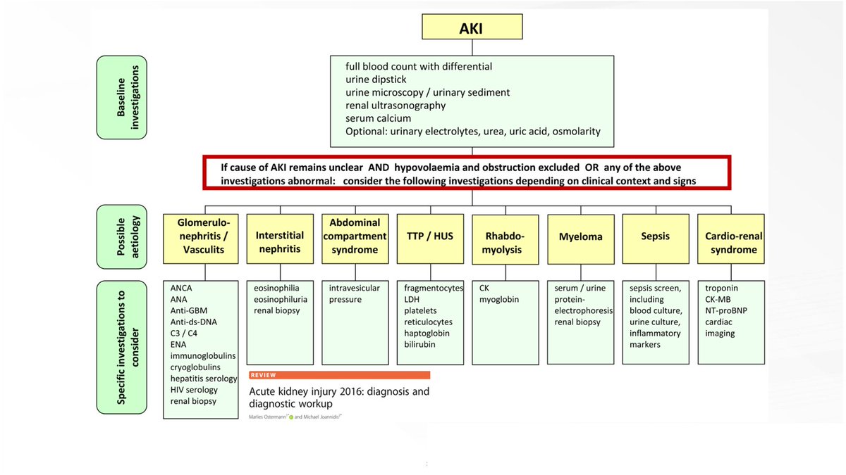 edgarvlermamd's tweet photo. Lecture Series On Nephrology from @caricoll_family @ISNkidneycare - "Approach to the Patient with an Elevated Serum Creatinine"

👉 RECORDING 👉 https://t.co/mgr94R1DpS https://t.co/XwJxhN3MTi