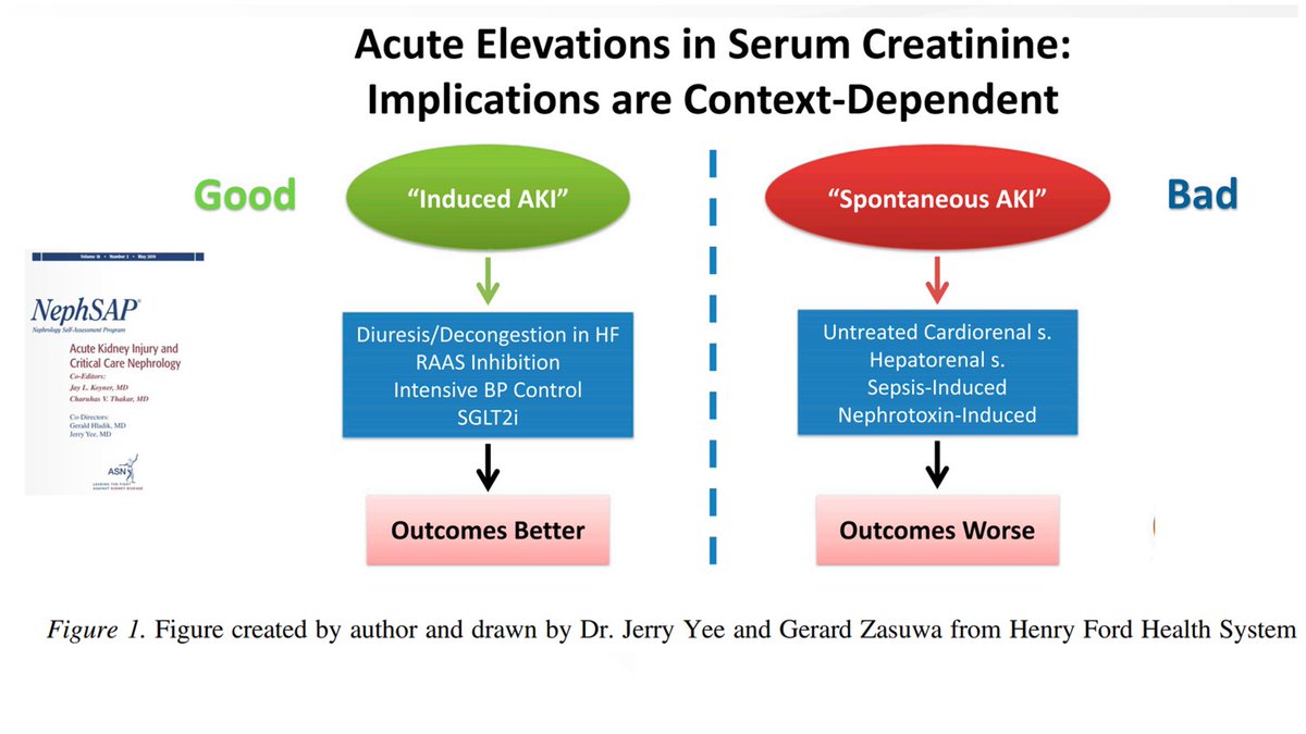 edgarvlermamd's tweet photo. Lecture Series On Nephrology from @caricoll_family @ISNkidneycare - "Approach to the Patient with an Elevated Serum Creatinine"

👉 RECORDING 👉 https://t.co/mgr94R1DpS https://t.co/XwJxhN3MTi