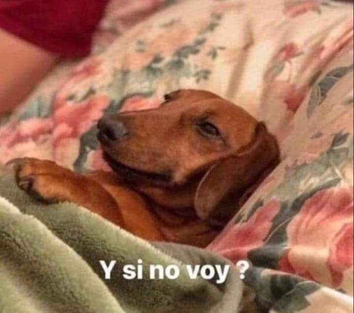 Suena la alarma:

Yo: