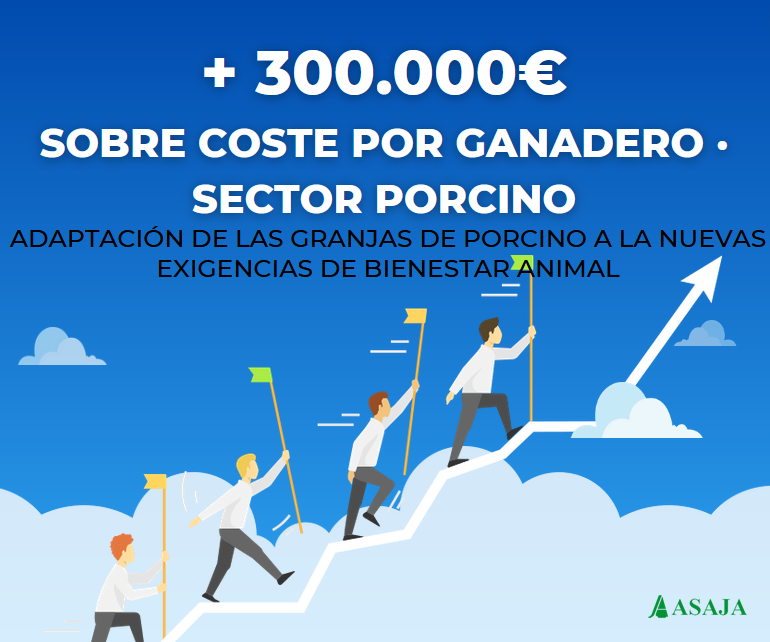 AsajaNacional's tweet image. La adaptación de las granjas de porcino a las nuevas exigencias sobre bienestar animal supondrá un sobrecoste por ganadero de más de 300.000 euros

Las #Opas piden una prórroga de 3 años adicionales para la entrada en vigor.

Estos son los detalles: 
ow.ly/sbLg50SyHu6