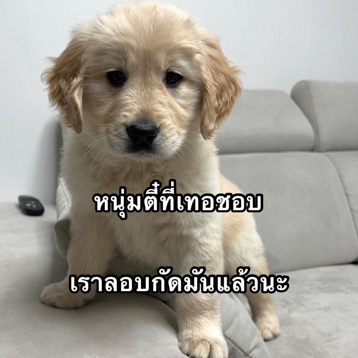 <a href="/tofuyaluvyoshi/">โทฟุยะ</a>