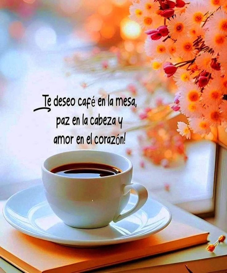 #BuenosDías 🧡🧡🧡
#FelizMiércoles 🙏☀️☕🎼🌼🍀🥰😘💐