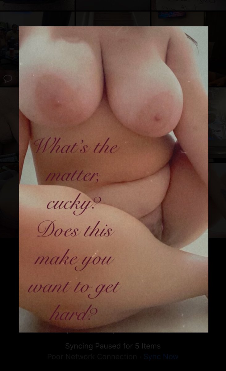 AlltimeStag tweet media