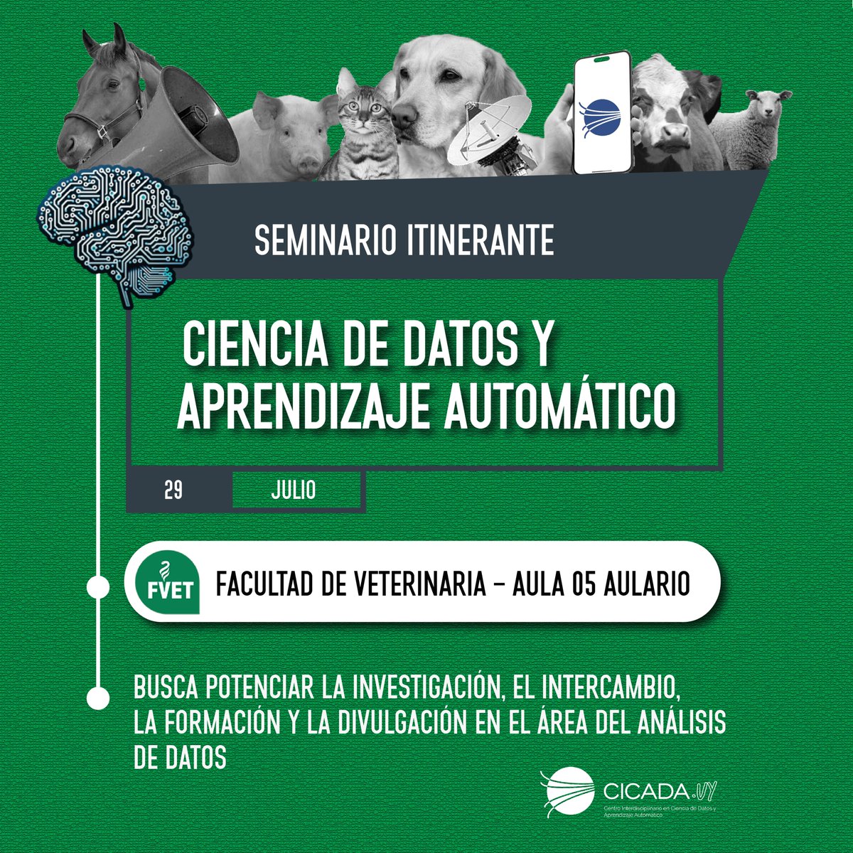 cicada.uy tweet media