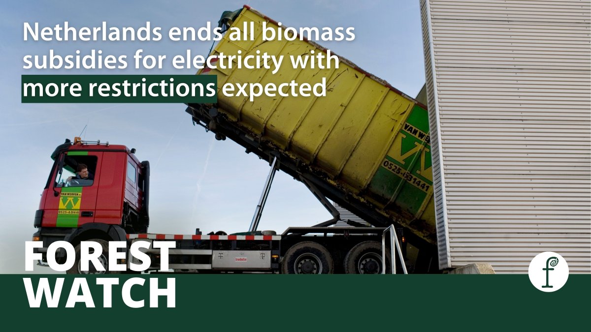 Fern (@fern_ngo) on Twitter photo The Netherlands' transposition of the #RenewableEnergyDirective bans all #biomass subsidies for electricity & limits #Bioenergy with Carbon Capture & Storage (#BECCS).
Other #EU states should follow this ambitious, science-informed policy!
#ForestWatch 👇
fern.org/publications-i… The Netherlands' transposition of the #RenewableEnergyDirective bans all #biomass subsidies for electricity & limits #Bioenergy with Carbon Capture & Storage (#BECCS).
Other #EU states should follow this ambitious, science-informed policy!
#ForestWatch 👇
fern.org/publications-i…