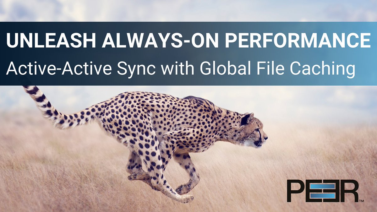 PeerSoftware's tweet image. Get a non-proprietary #ActiveActive data services fabric with #realtime replication across multi-platform edge, data center and cloud storage environments. Increase productivity, enable data resiliency and support #AI initiatives with @PeerSoftware.
bit.ly/3W0tvnz