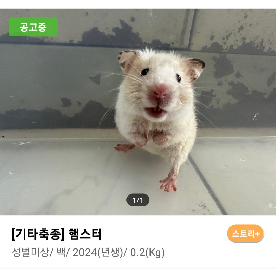 컷오프 프로젝트 tweet media