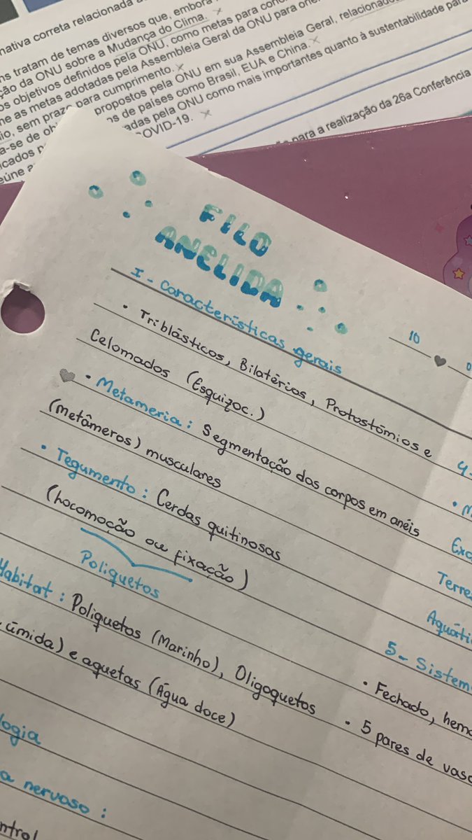 studywoli's tweet image. 