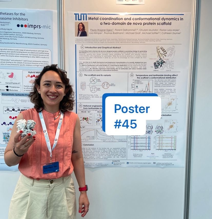 paulish_we's tweet photo. Today and tomorrow I will be attending the Curious 2024 conference organized by the Future Insight association in Mainz. 

Stop by my poster (#45) for a chat about de novo designed proteins! https://t.co/ar5bTVlbeB