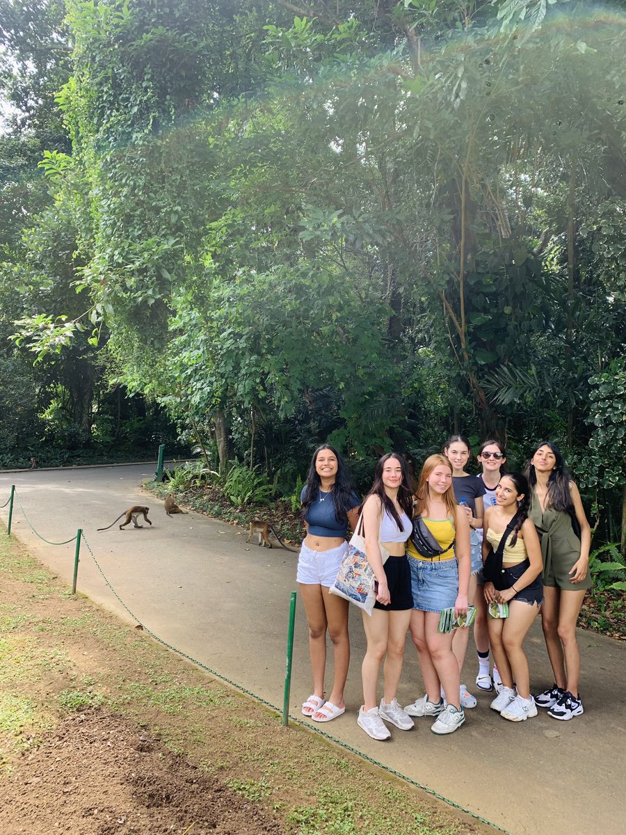 bgsnetball's tweet photo. A super busy day 2 for our girls. 🌺

- Great first session ahead of game 1 tomorrow.🏐
- Lunch at the Royal Botanical Gardens🌴 even made some little friends! 🐒🐍
- Visited the silk shop.👘
- Watched a cultural dance show.💃🏼
- Back to the hotel for pool &amp; dinner.💧

#SriLanka24 https://t.co/U52NUrrgt2